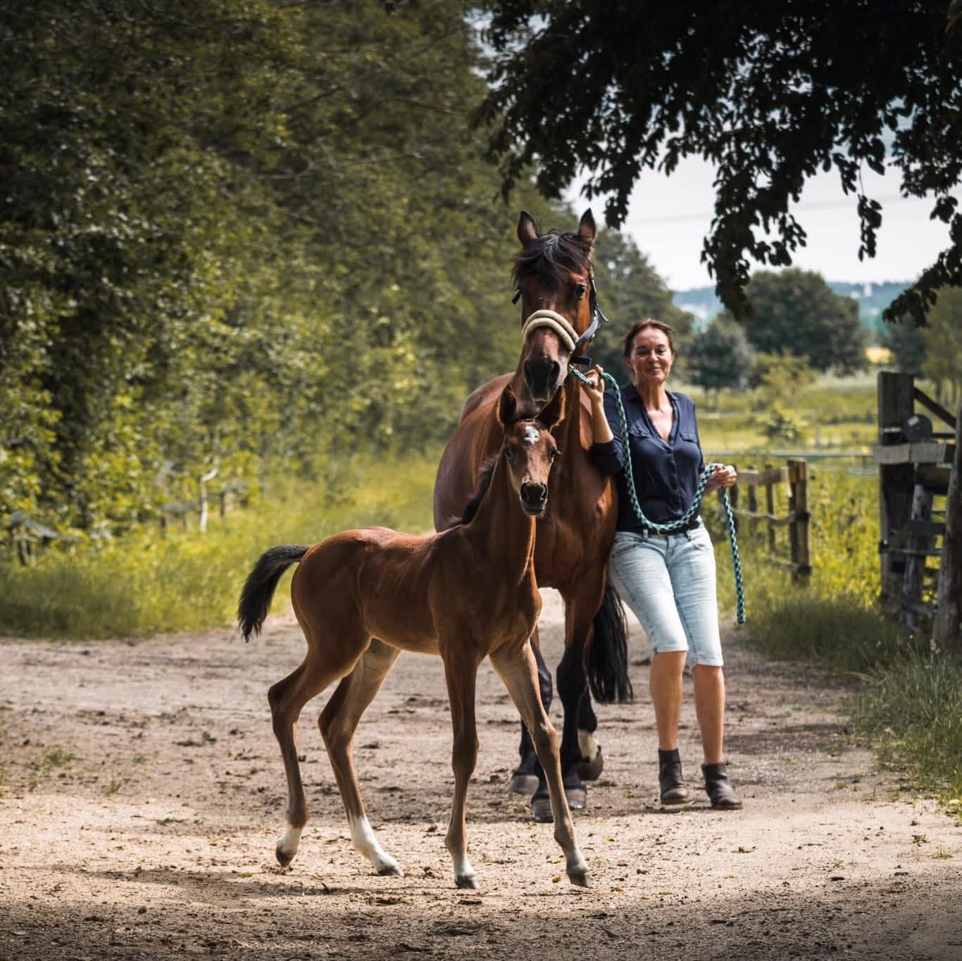 Andrea Lohmeier mit Baby Ella und Stute