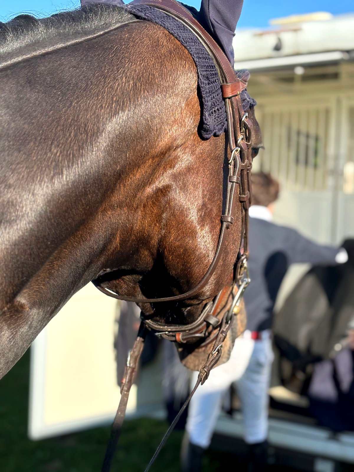 Beziehung und Verantwortung