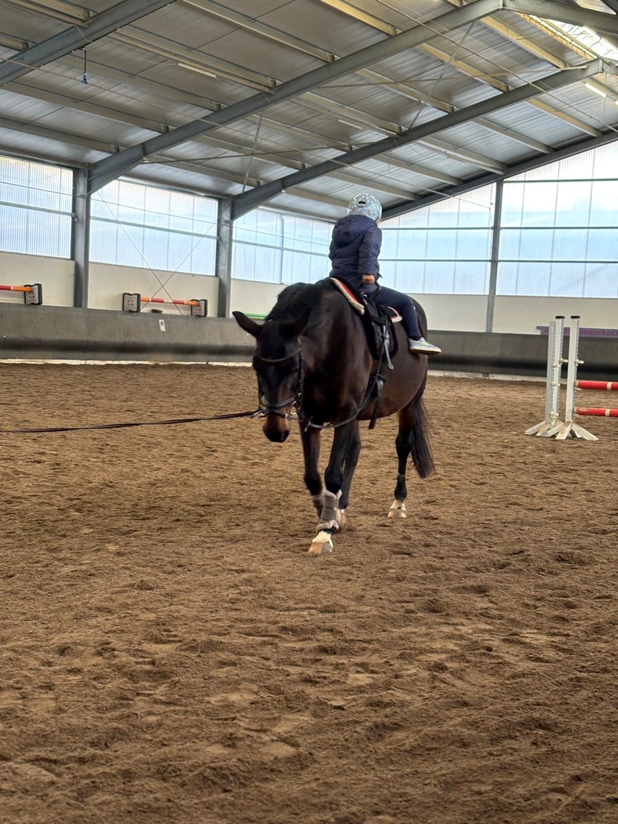 Kind an der Longe in der Reithalle